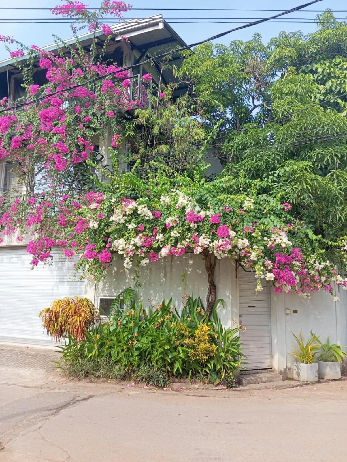 Kelaniya Heritage Exterior foto